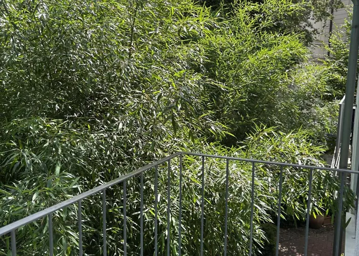 Διαμέρισμα Parkresidenz Άρνσμπεργκ